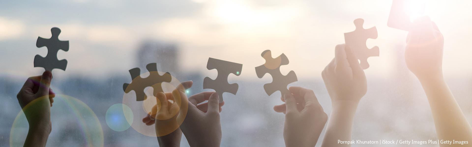 SDI Germany SDI Germany: Hands with puzzle